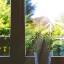 Blick aus Fenster