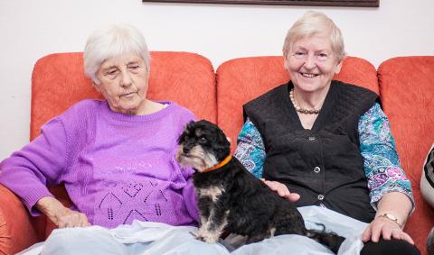 Tiere schenken Wärme und Vertrauen